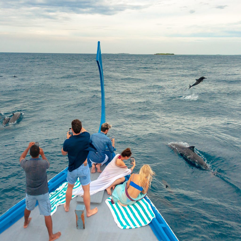 Pelagic Diving