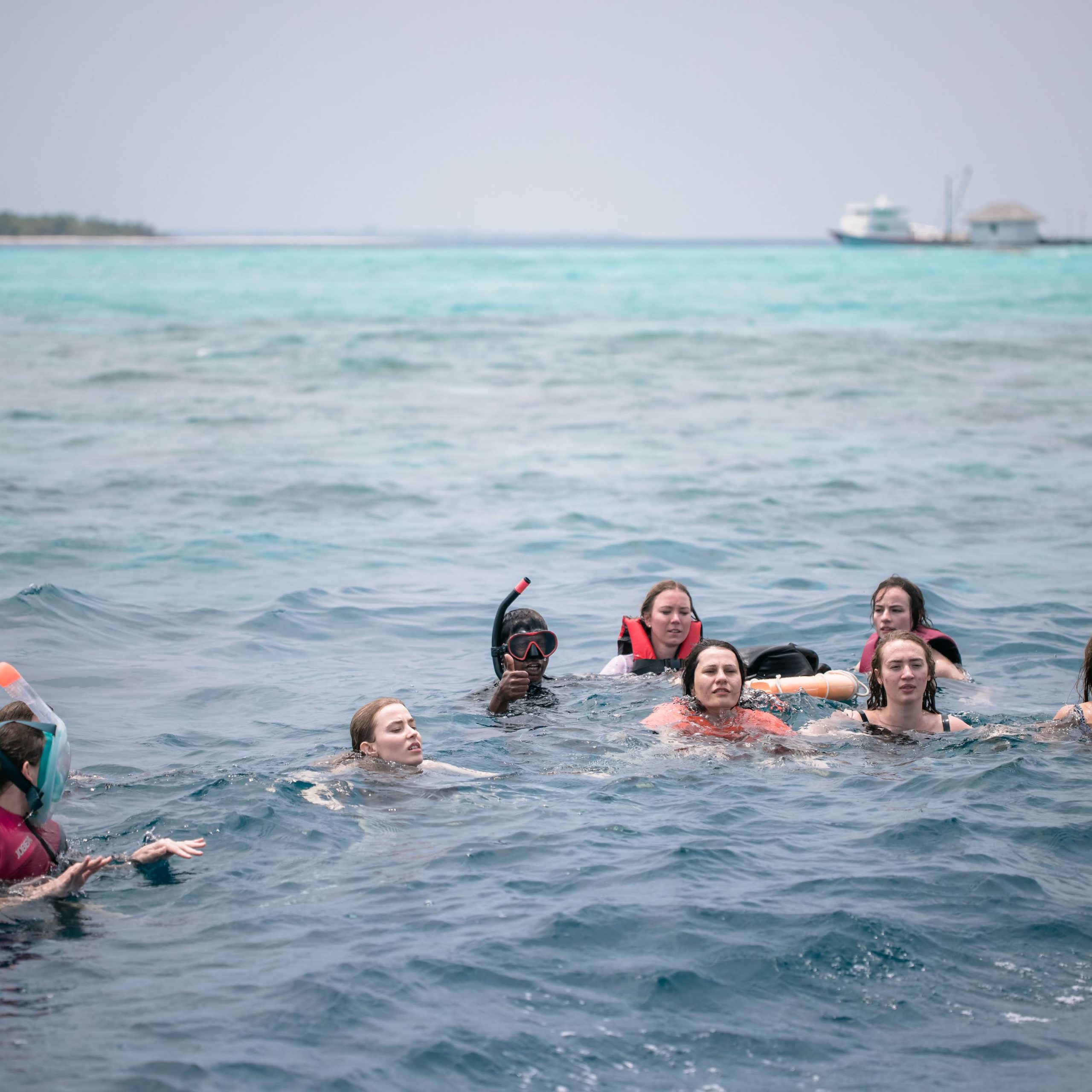 Marine life